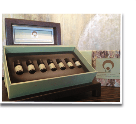 Chakra Collection Essential Oil Gift Box Set