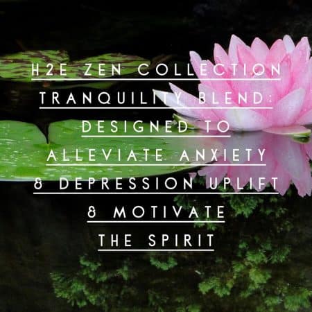 Zen Collection