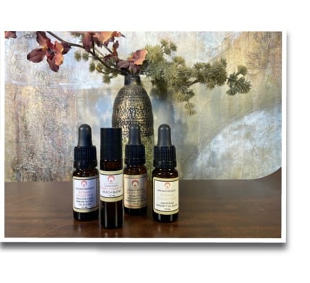 Botanic Collection Essential Oils